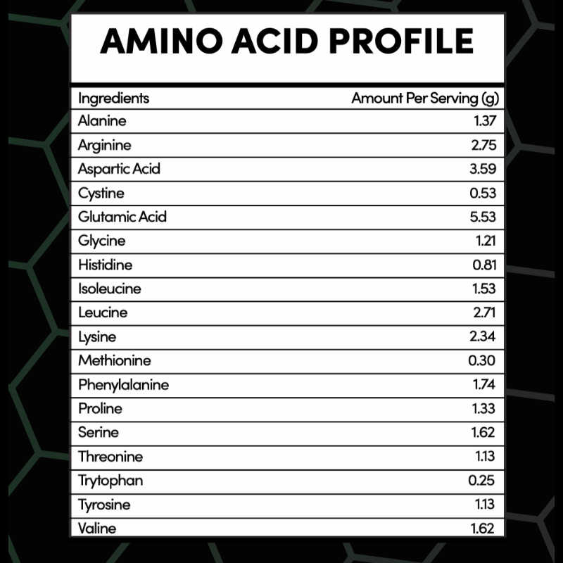 Chocolate Plant Protein